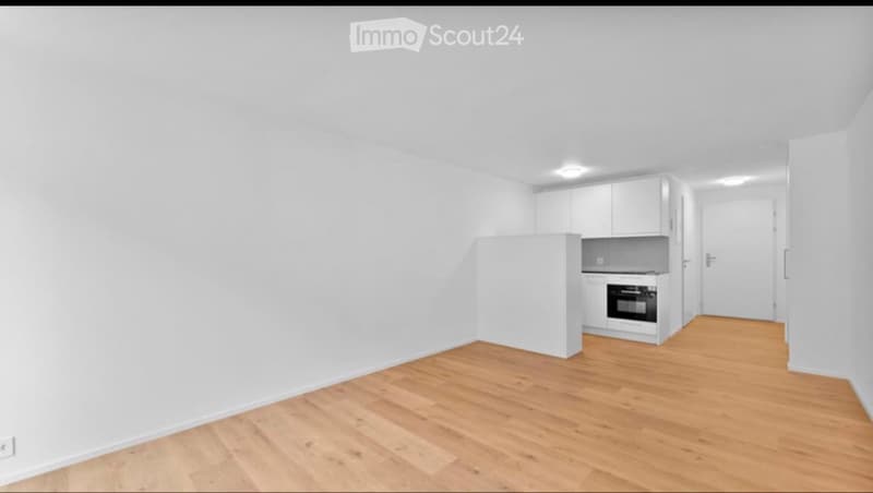 1 Zimmer Studio (Nachmieter gesucht) (2)