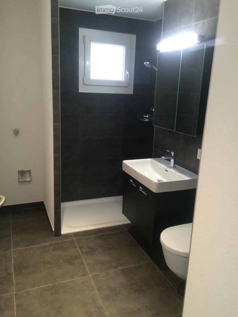 Bel appartement de 2.5 pièces avec grande terrasse à Vuisse (4)