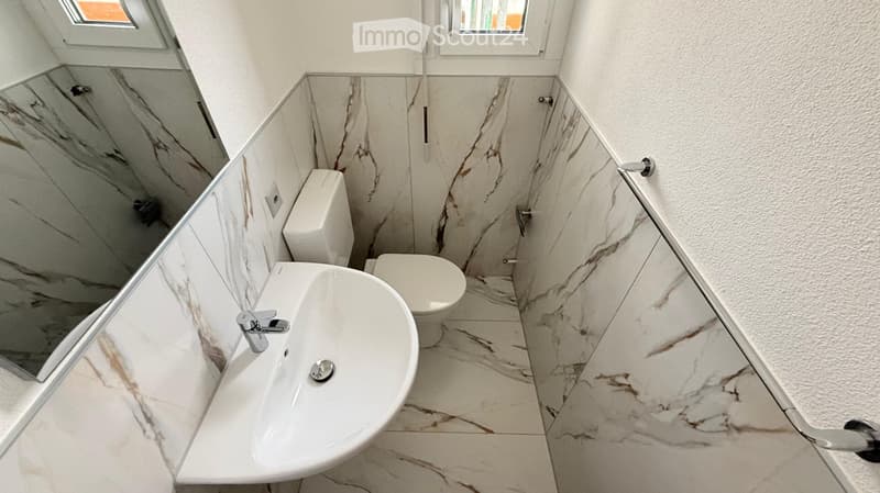 4.5 locali ristrutturato a Coldrerio (11)