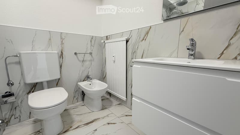 4.5 locali ristrutturato a Coldrerio (7)