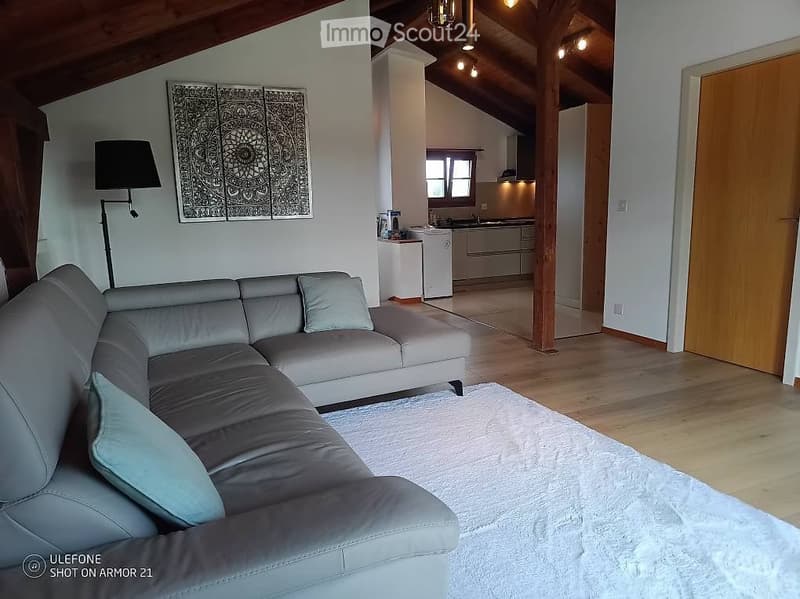 3.5 Zimmer Dachwohnung in Hallwil (1)