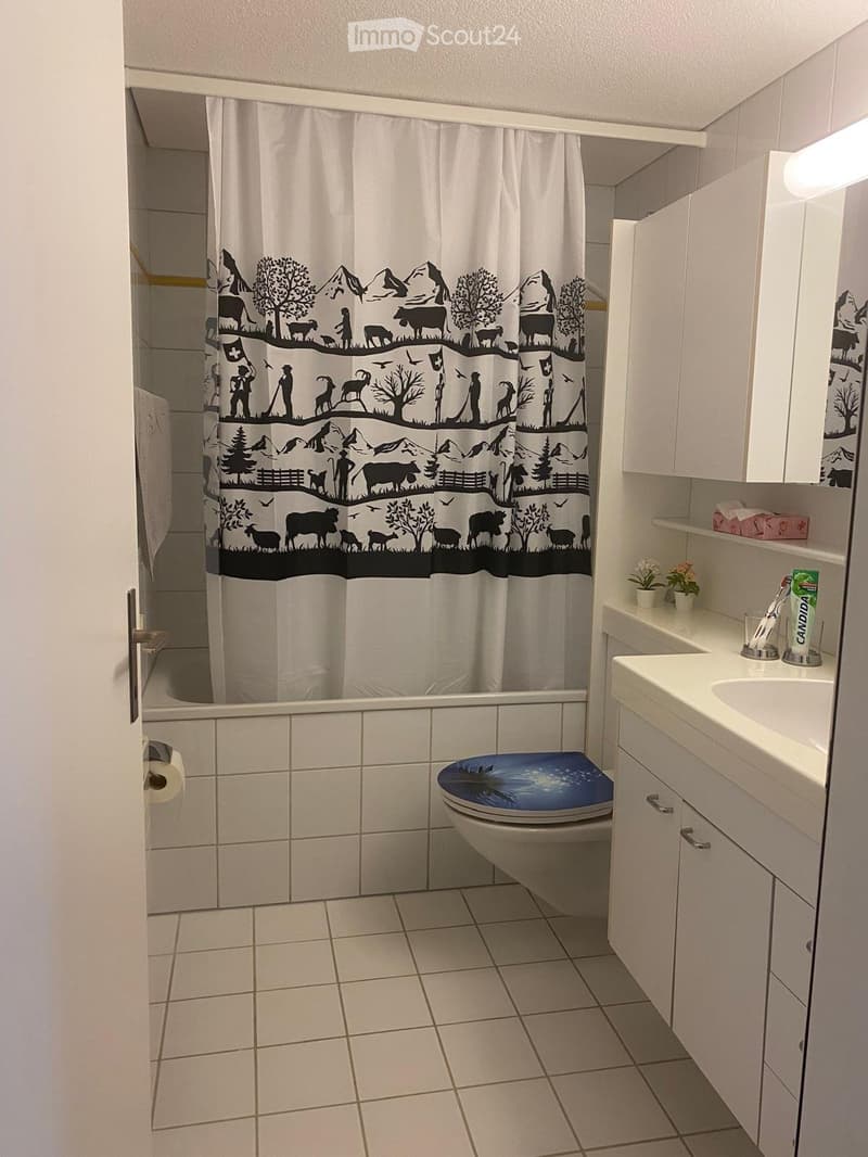 Gepflegte Wohnung mit Balkon und Tiefgaragenplatz (4)
