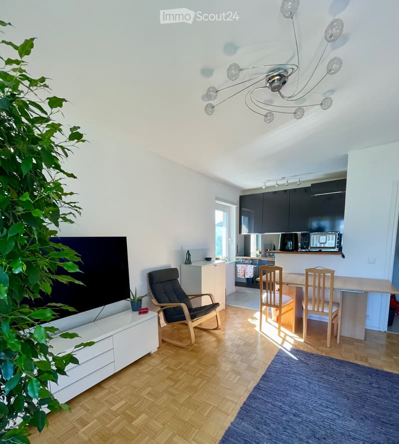 Porza Appartamento di 3.5 locali con balcone (1)