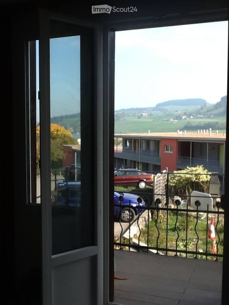 Schöne und zentrale 1,5 Zimmer Wohnung (4)