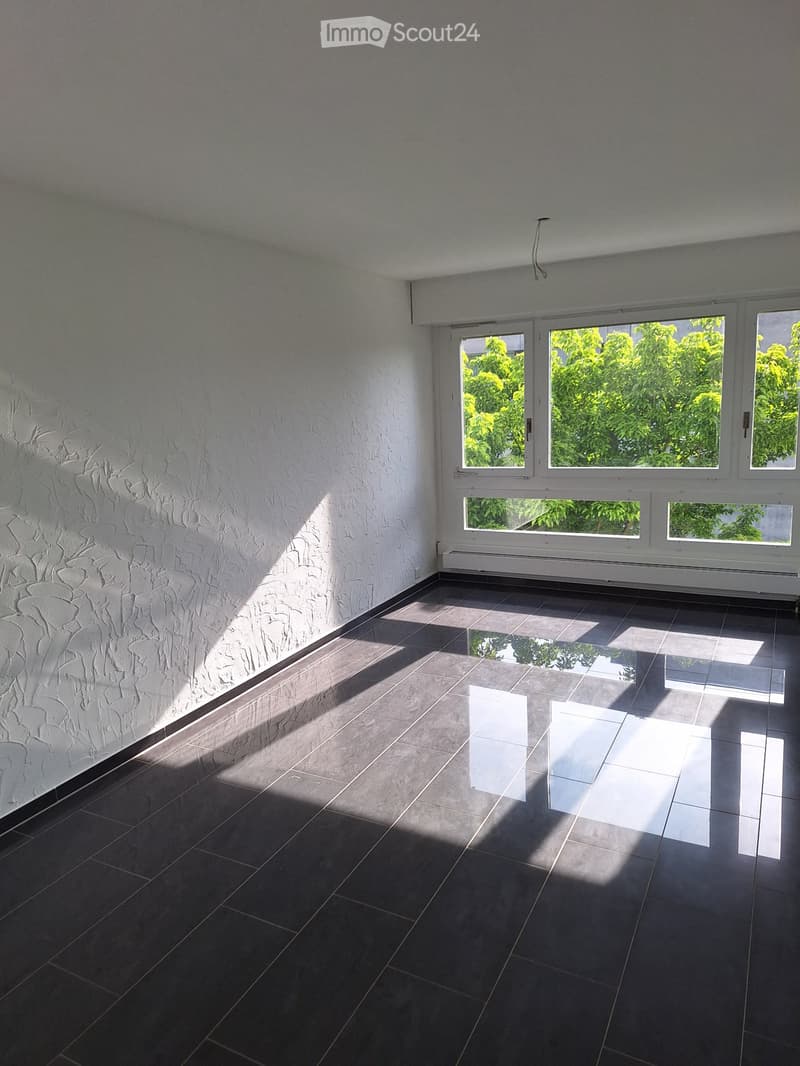 5.5-Zimmer-Wohnung mit grosszügiger Dachterrasse (5)