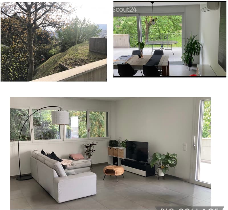 Appartamento 3.5 a Pregassona alta (1)