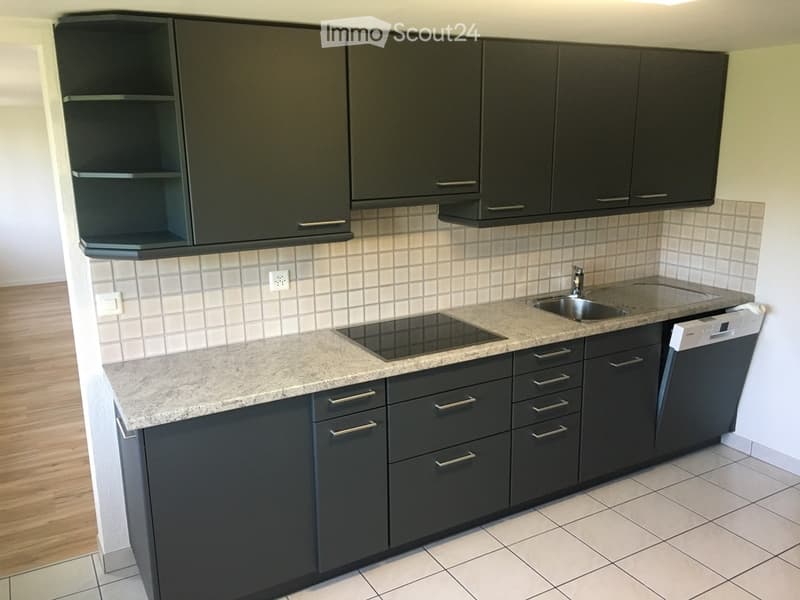 Schöne grosse Wohnung 5.5 Zimmer - 2.OG ausserhalb Flawil (3)