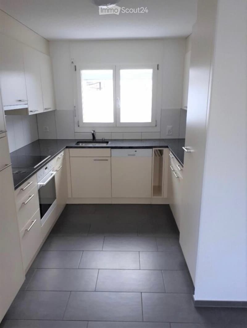 5.5-Zimmer-Doppeleinfamilienhaus in Wangen b. Olten (3)