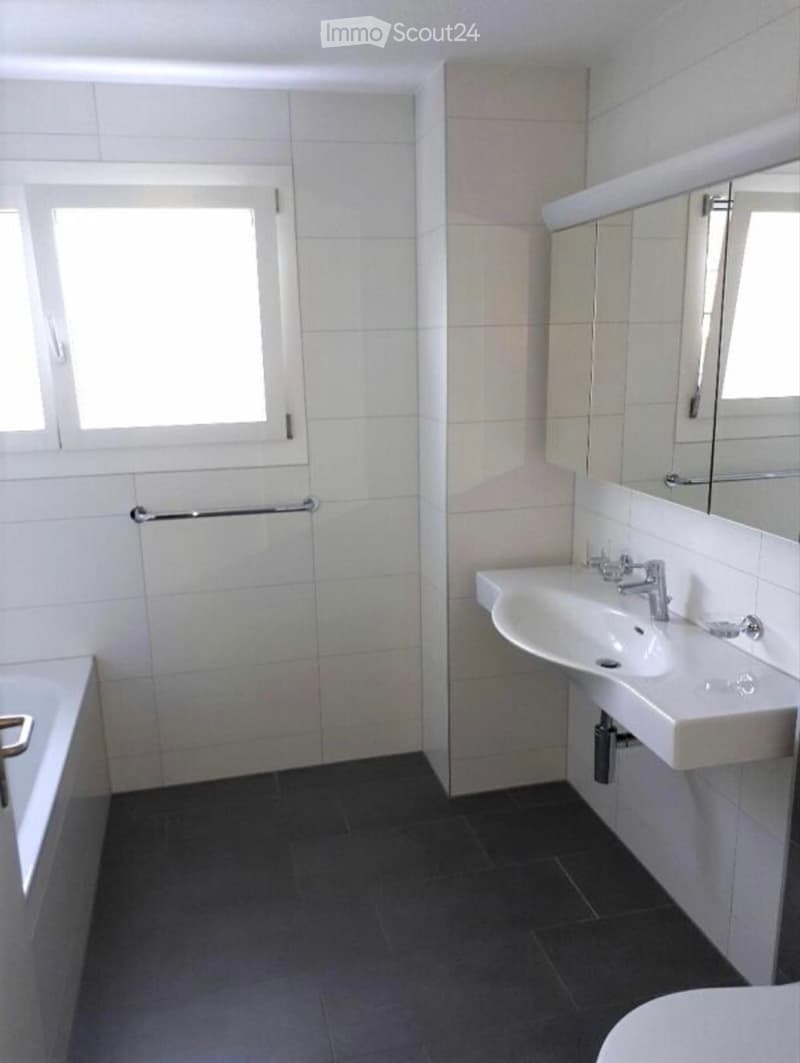 5.5-Zimmer-Doppeleinfamilienhaus in Wangen b. Olten (4)