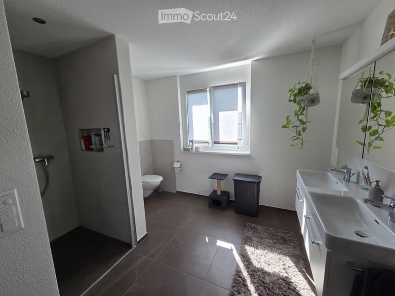 4½-Zimmer-Wohnung ab 1. Dezember. zu vermieten (3)