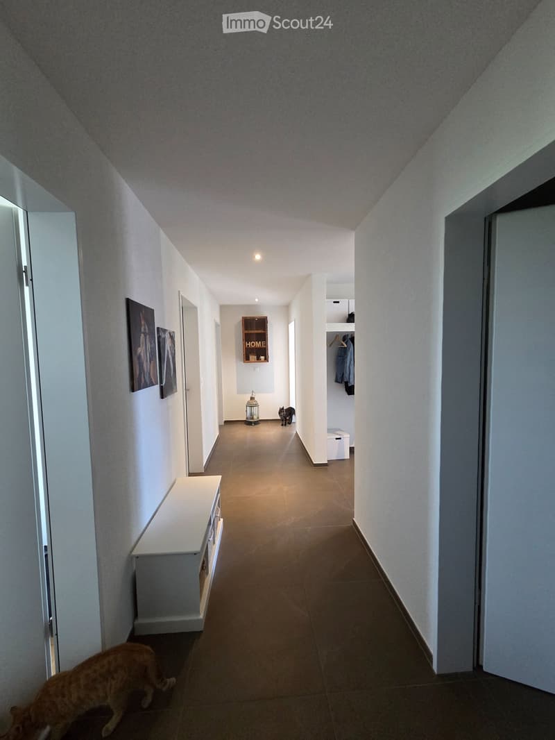 4½-Zimmer-Wohnung ab 1. Dezember. zu vermieten (4)