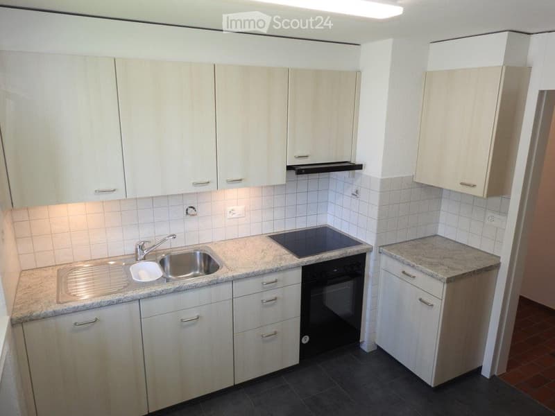 4.5 Zimmer-Wohnung (2)