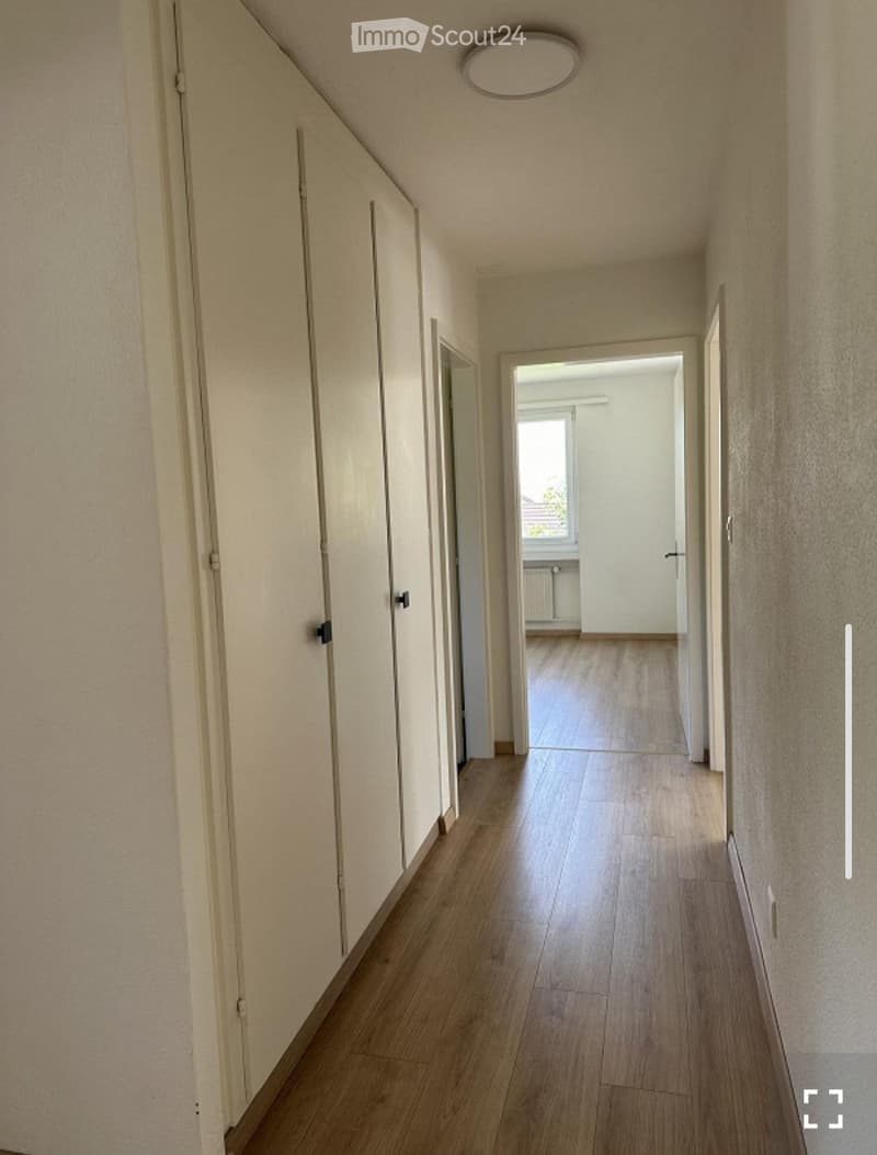 Nachmieter gesucht  4-Zimmer-Attikawohnung in Thal (4)