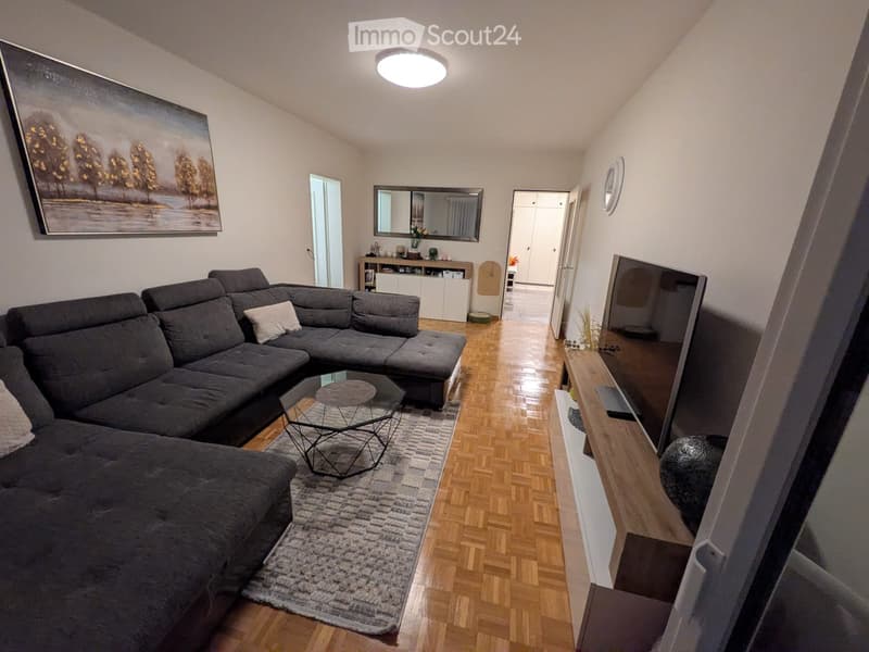 Spazioso 4.5 locali ammobiliato con due terrazze a Locarno (5)