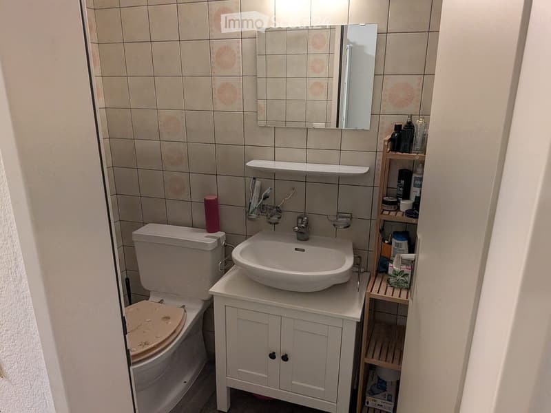 Spazioso 4.5 locali ammobiliato con due terrazze a Locarno (3)