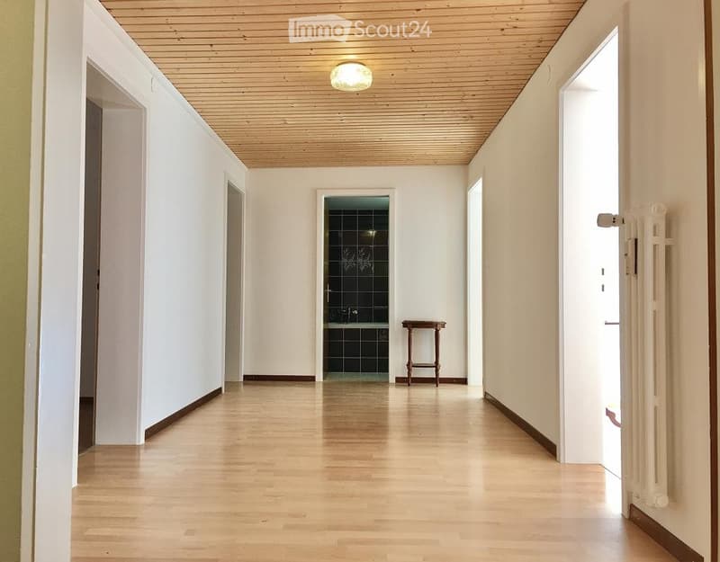 Wohnung mit Sonnenbalkon und Sicht (ideal auch für WG) (4)