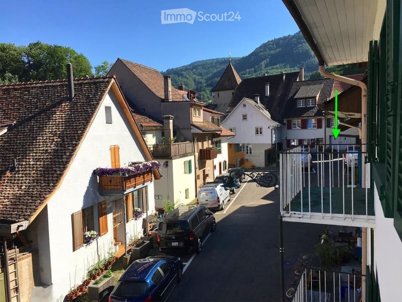 Wohnung mit Sonnenbalkon und Sicht (ideal auch für WG) (2)