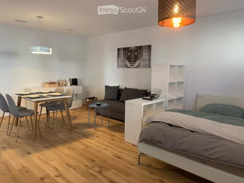 Möblierteeinzimmerwohnung inklusive Nebenkosten und Internet (1)