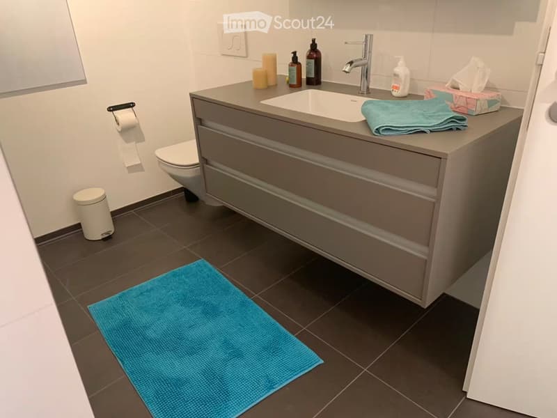 Möblierteeinzimmerwohnung inklusive Nebenkosten und Internet (4)