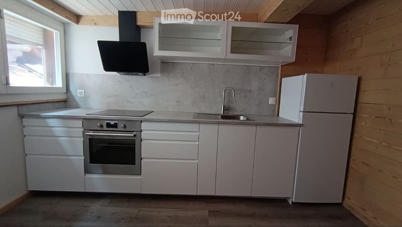 Neu renovierte Wohnung im Stadtzentrum (1)