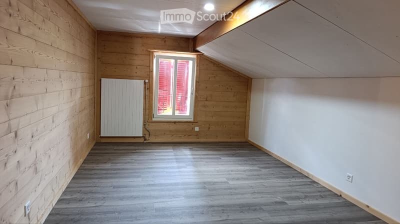 Neu renovierte Wohnung im Stadtzentrum (3)