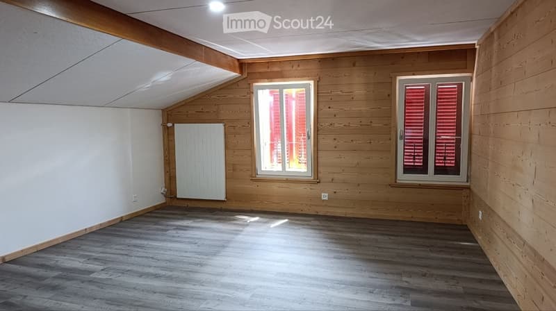 Neu renovierte Wohnung im Stadtzentrum (4)