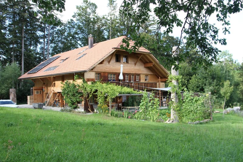 WG Zimmer (3)