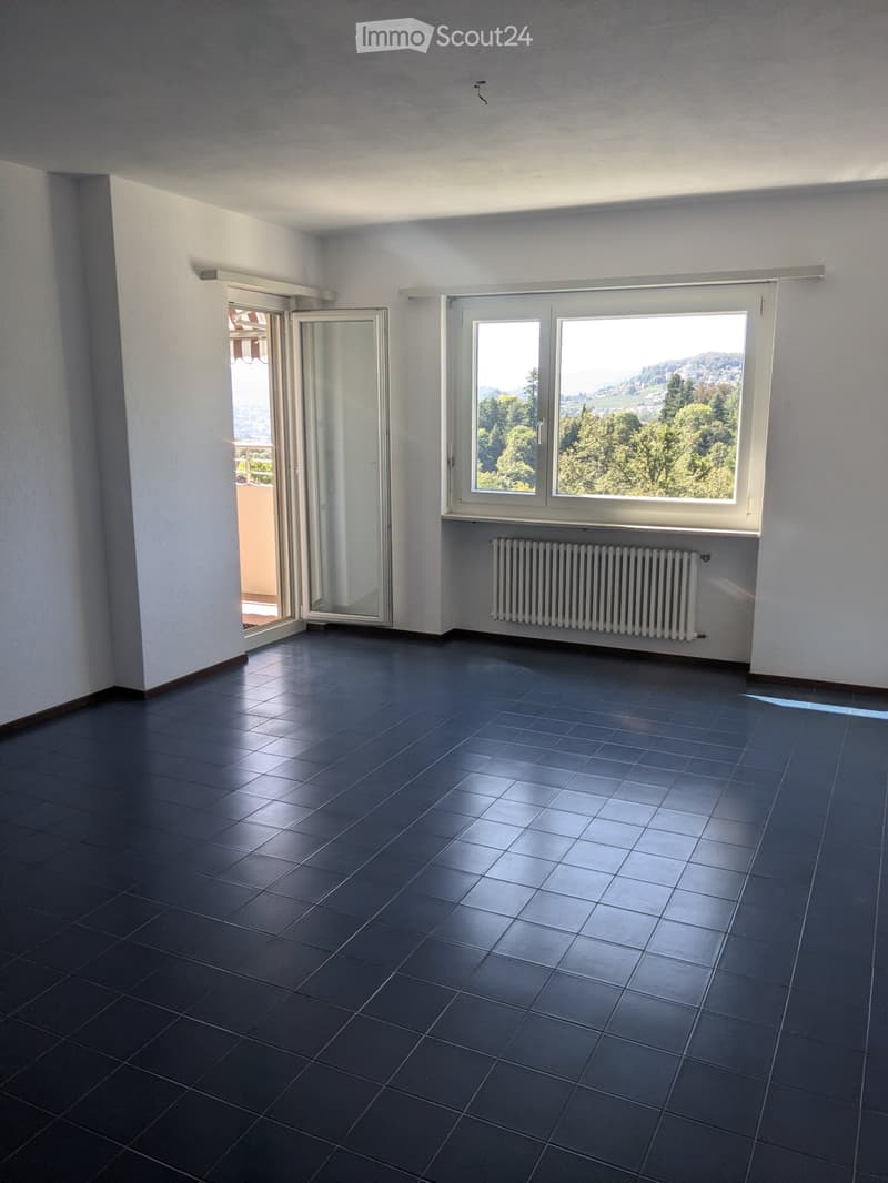 Affittasi appartamento 2.5 locali a Davesco (3)