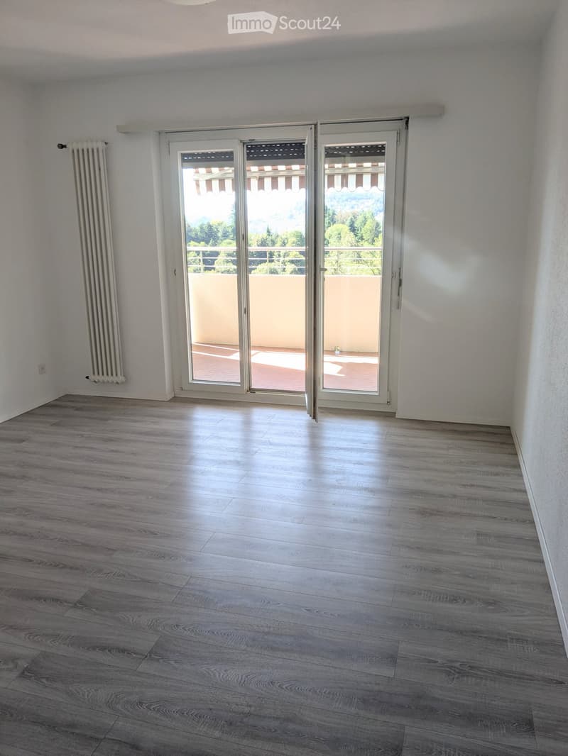 Affittasi appartamento 2.5 locali a Davesco (1)