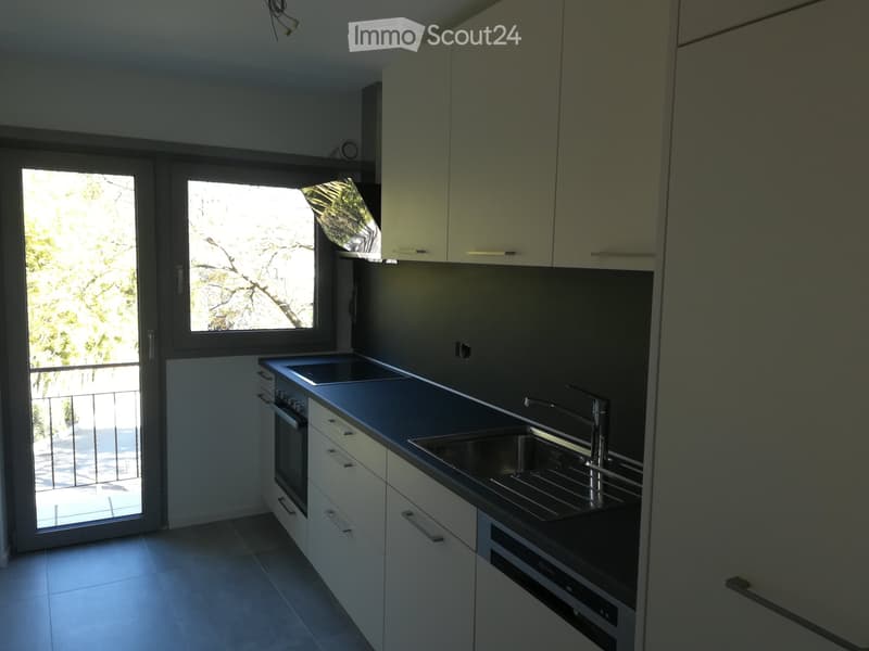 spazioso appartamento 3,5 locali ad agno (5)