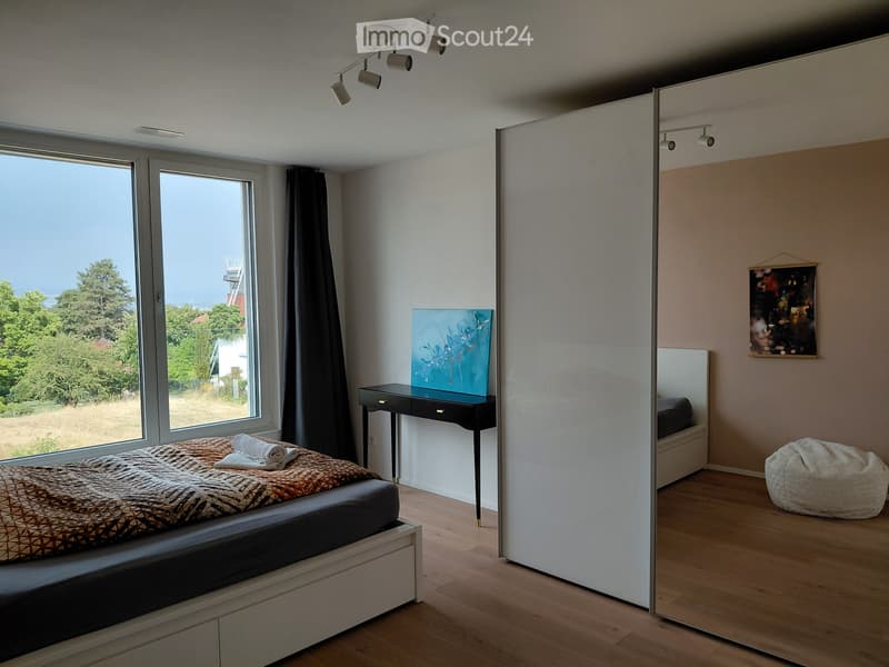 Neubau mit Sicht auf Basel - house to rent (3)
