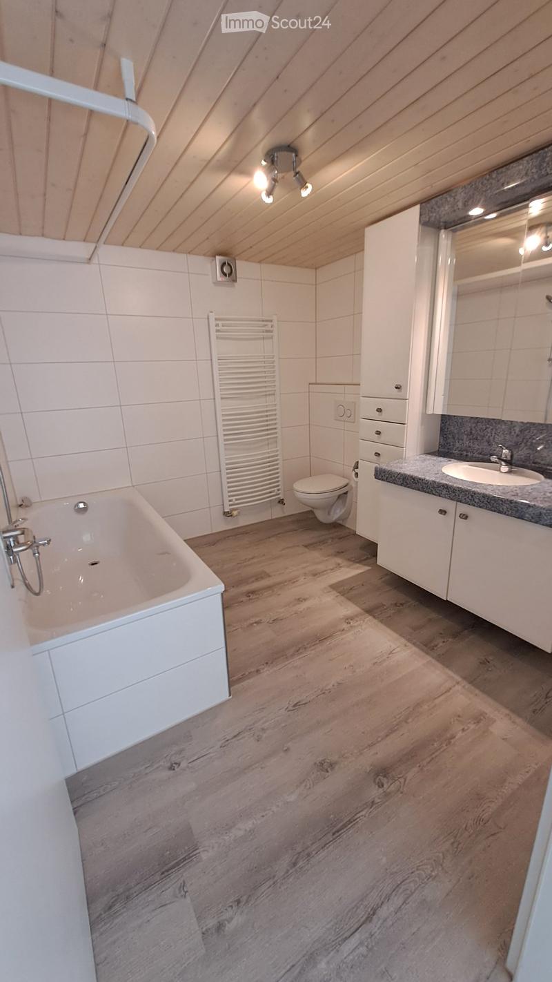 Helle 2.5 Zi Wohnung mit Terrasse (6)