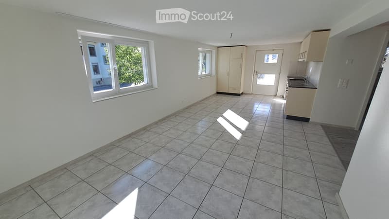 Helle 2.5 Zi Wohnung mit Terrasse (2)