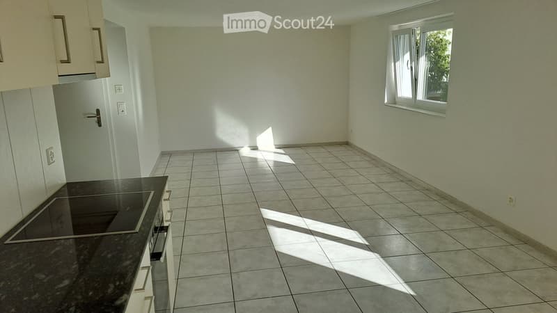 Helle 2.5 Zi Wohnung mit Terrasse (4)