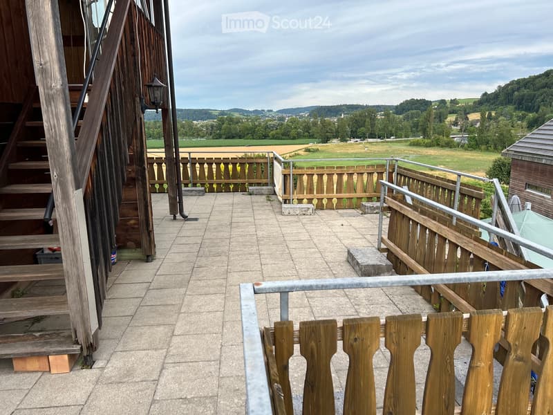 Charmante 2.5 Zi-Altbauwohnung mit riesiger Terrasse (1)