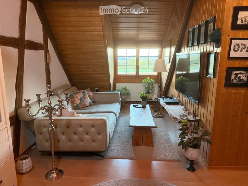 Charmante 2.5 Zi-Altbauwohnung mit riesiger Terrasse (2)