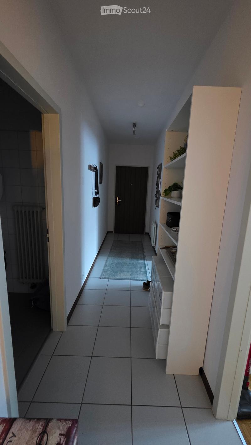 Appartamento a Bellinzona Nord (3)