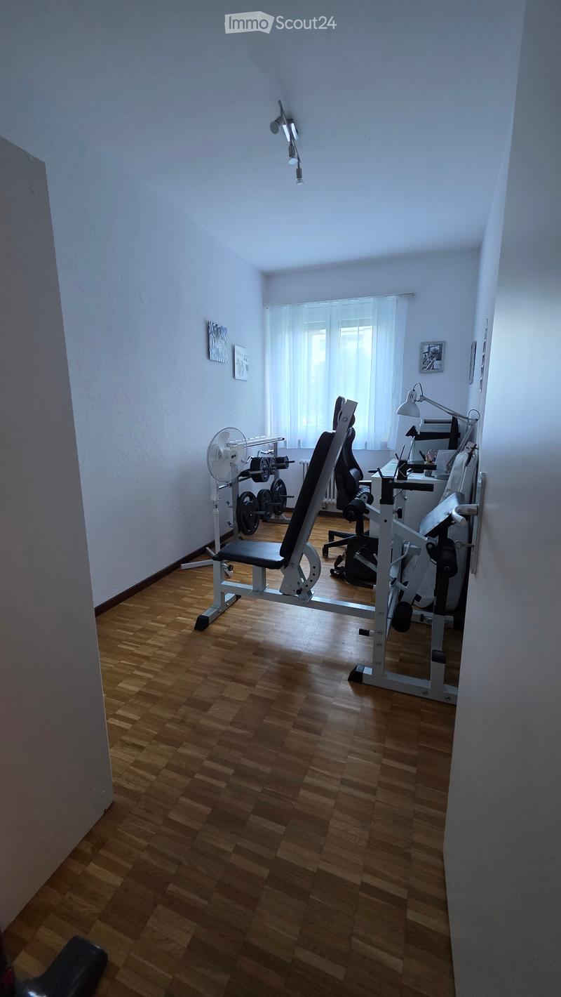 Appartamento a Bellinzona Nord (4)