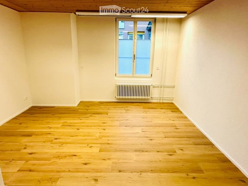 Vermiete neu renovierte 2,5 Zimmer Wohnung (2)