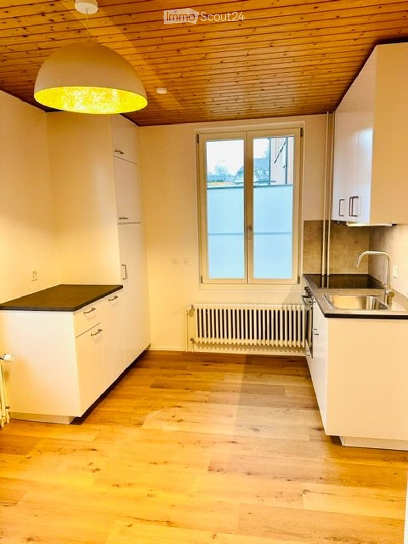 Vermiete neu renovierte 2,5 Zimmer Wohnung (1)