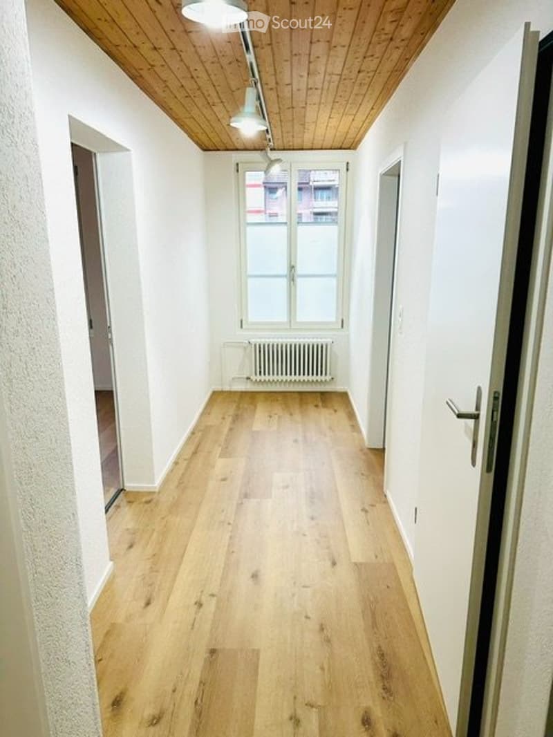 Vermiete neu renovierte 2,5 Zimmer Wohnung (5)