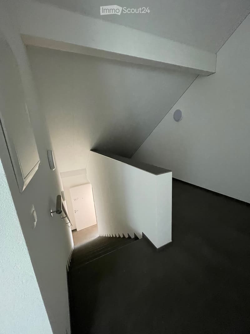 Naturnah Wohnen - moderne Dachwohnung in Rothenfluh (2)