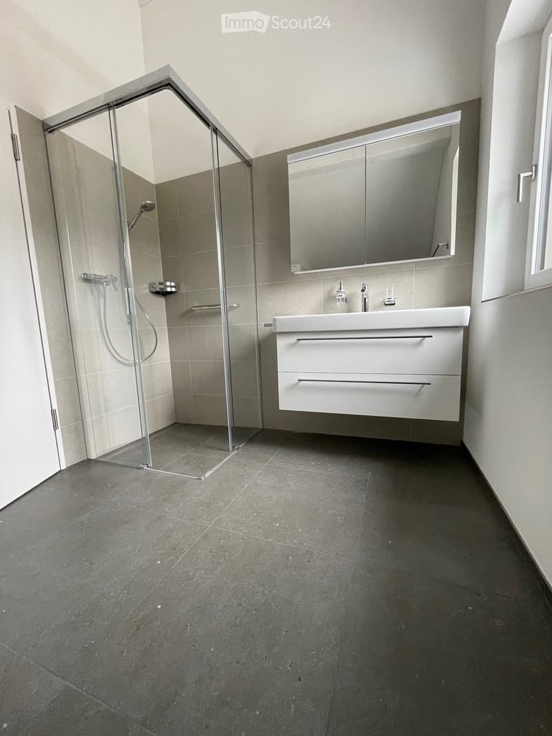 Naturnah Wohnen - moderne Dachwohnung in Rothenfluh (4)