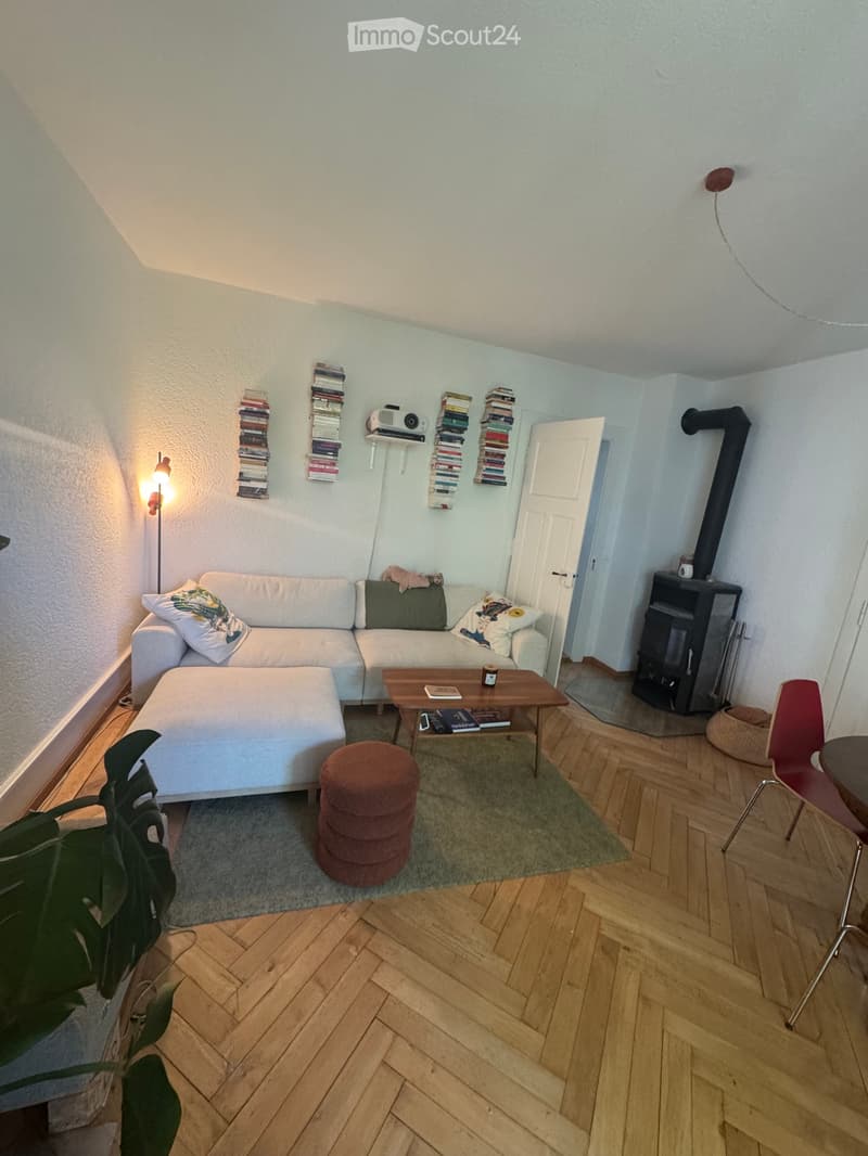 Wunderschöne 3 Zi.-Altbauwohnung im Murifeld (befristet) (3)