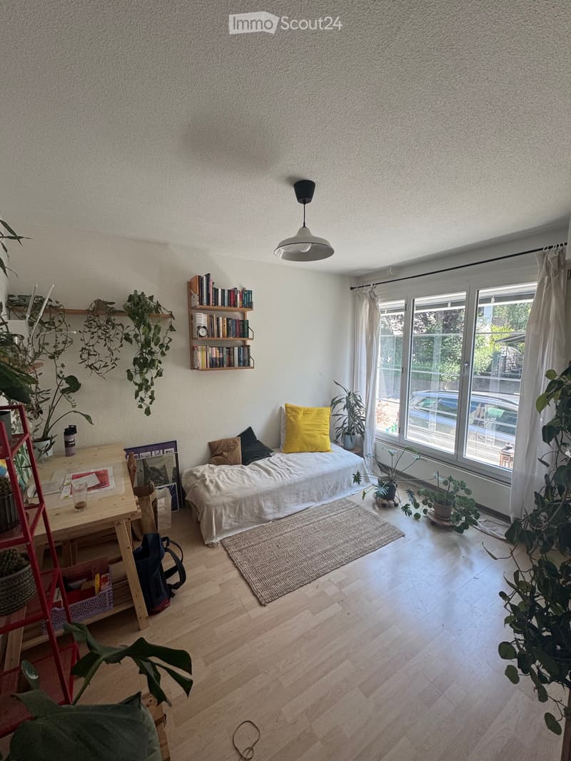 Wunderschöne 3 Zi.-Altbauwohnung im Murifeld (befristet) (4)