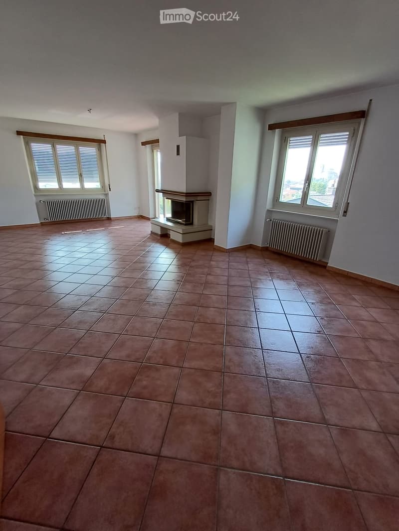 Appartamento 4,5 con giardino (2)