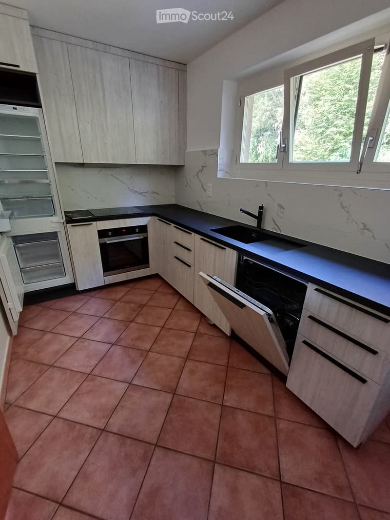 Appartamento 4,5 con giardino (1)