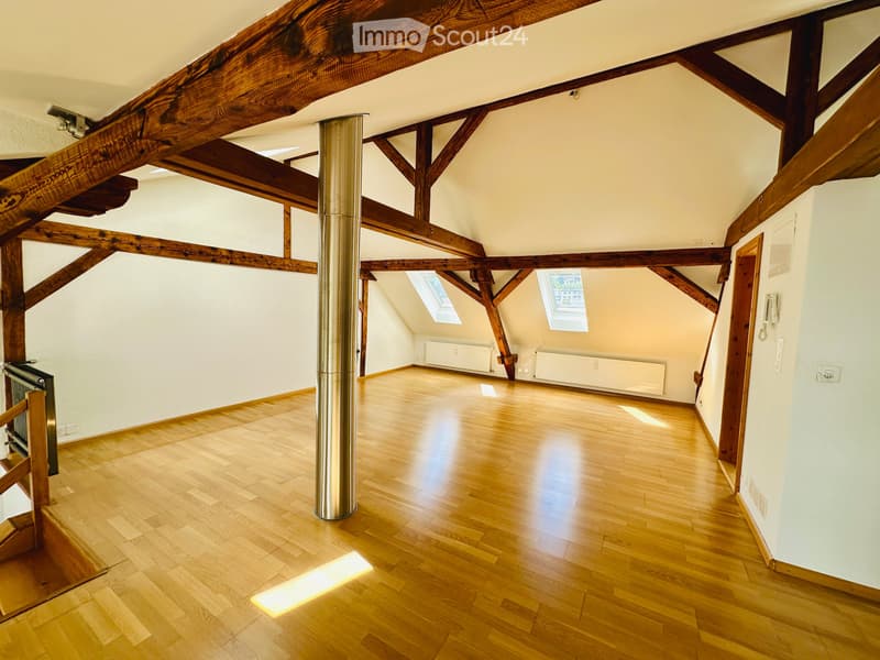 Charmante Loft-Dachwohnung im Gundeli mit Balkon (3)