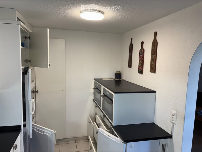 Attraktive 3,5 Zi-Wohnung mit Riesenbalkon und Einzelgarage (2)