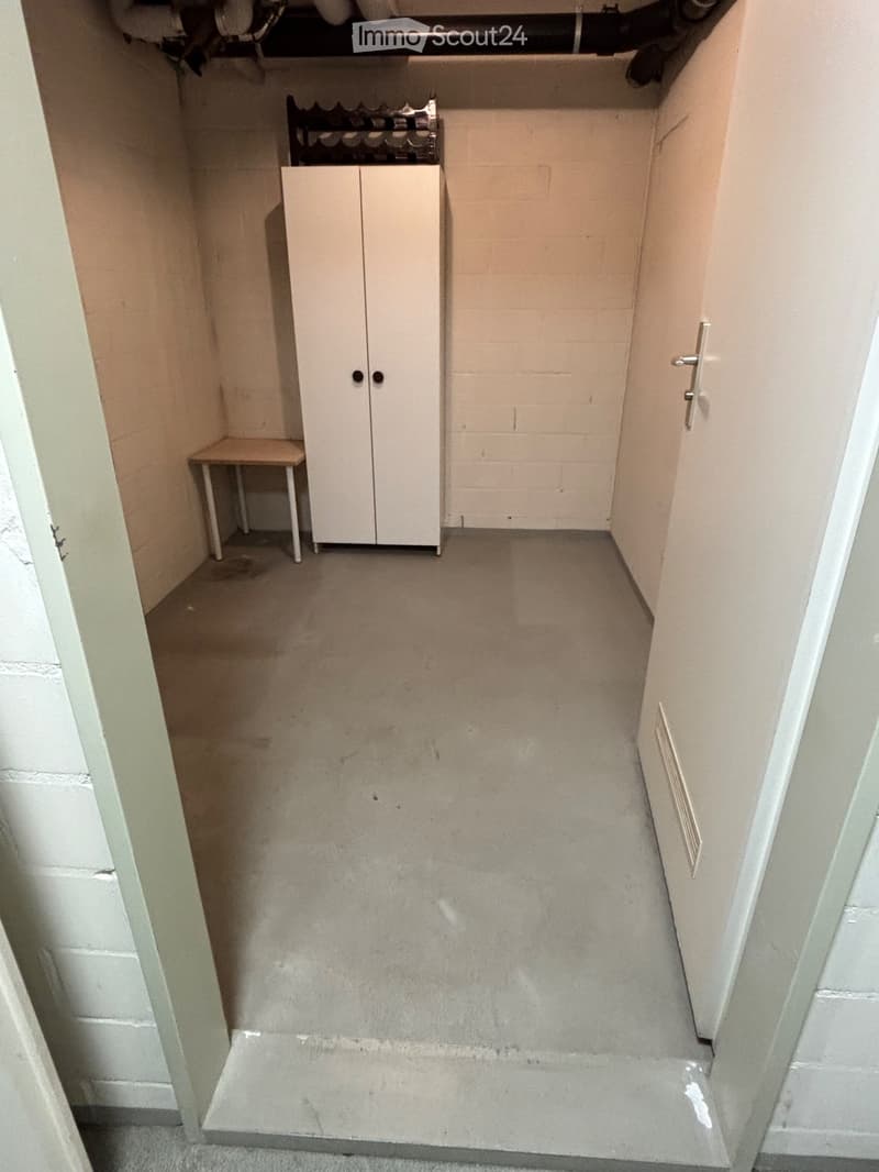 Attraktive 3,5 Zi-Wohnung mit Riesenbalkon und Einzelgarage (13)